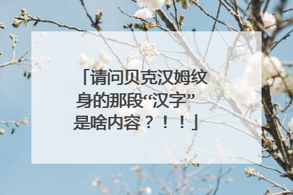 请问贝克汉姆纹身的那段“汉字”是啥内容？！！