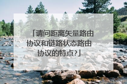 请问距离矢量路由协议和链路状态路由协议的特点?