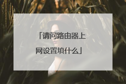 请问路由器上网设置填什么