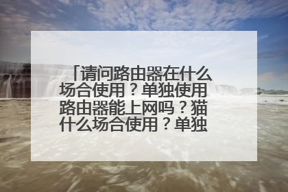 请问路由器在什么场合使用?单独使用路由器能上网吗?猫什么场合使用?单独用能上网吗?