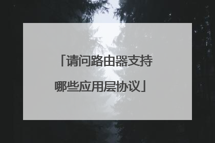 请问路由器支持哪些应用层协议
