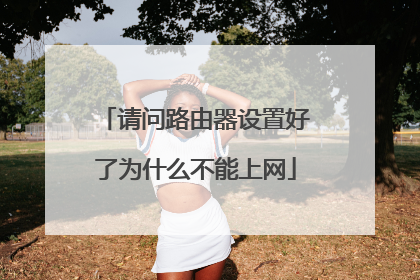 请问路由器设置好了为什么不能上网