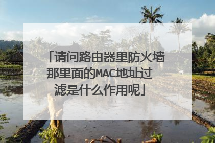 请问路由器里防火墙那里面的MAC地址过滤是什么作用呢