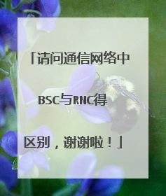 请问通信网络中BSC与RNC得区别,谢谢啦!
