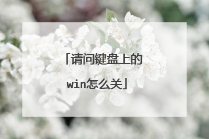请问键盘上的win怎么关