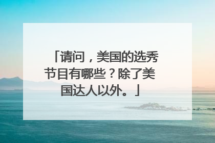 请问，美国的选秀节目有哪些？除了美国达人以外。