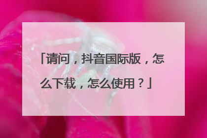 请问,抖音国际版,怎么下载,怎么使用?