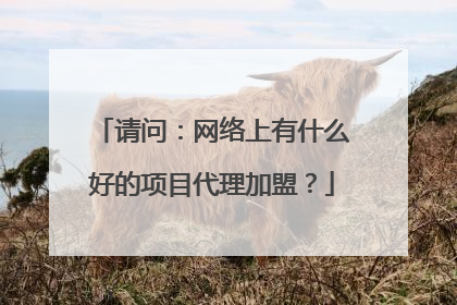 请问:网络上有什么好的项目代理加盟?