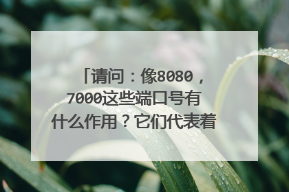 请问:像8080,7000这些端口号有什么作用?它们代表着什么,有什么意思?