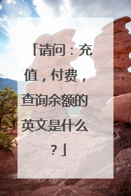 请问:充值,付费,查询余额的英文是什么?