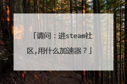 请问：进steam社区,用什么加速器？