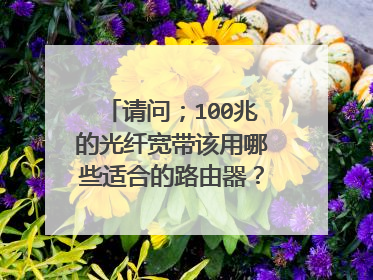 请问；100兆的光纤宽带该用哪些适合的路由器？价格多少？