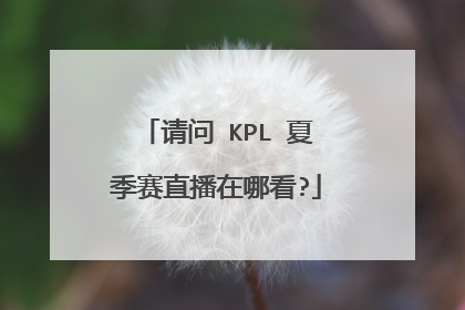请问 KPL 夏季赛直播在哪看?