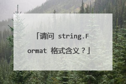 请问 string.Format 格式含义?