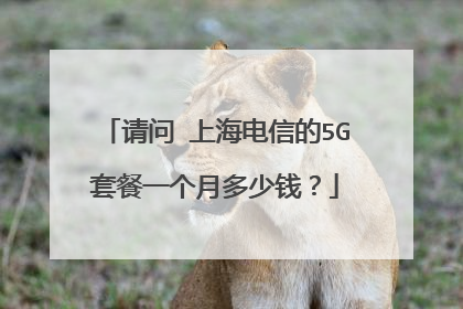 请问 上海电信的5G套餐一个月多少钱？