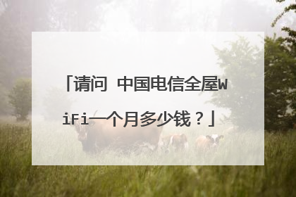请问 中国电信全屋WiFi一个月多少钱?