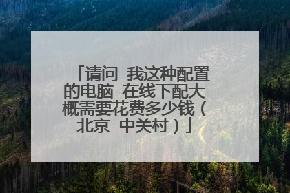 请问 我这种配置的电脑 在线下配大概需要花费多少钱(北京 中关村)