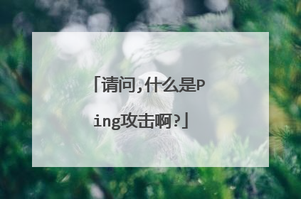 请问,什么是Ping攻击啊?