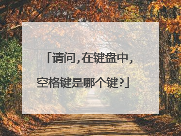 请问,在键盘中,空格键是哪个键?