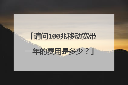 请问100兆移动宽带一年的费用是多少？