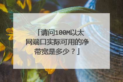 请问100M以太网端口实际可用的净带宽是多少？