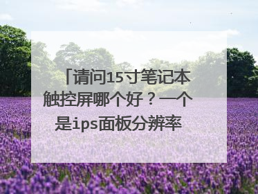 请问15寸笔记本触控屏哪个好?一个是ips面板分辨率是1366×768还有一个是奇美的屏幕可能是T
