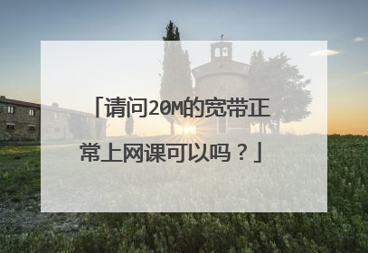 请问20M的宽带正常上网课可以吗？