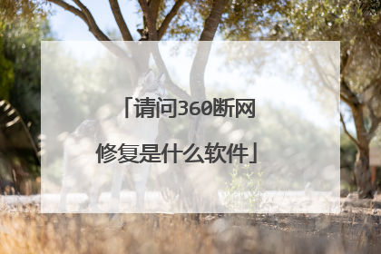 请问360断网修复是什么软件