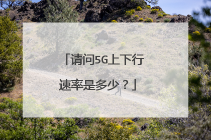 请问5G上下行速率是多少?