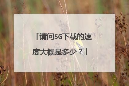 请问5G下载的速度大概是多少?
