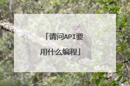 请问API要用什么编程