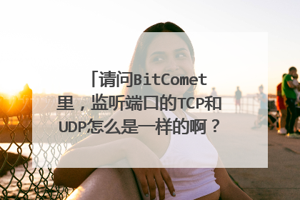 请问BitComet里，监听端口的TCP和UDP怎么是一样的啊？？到底TCP和UDP是什么意思哦？