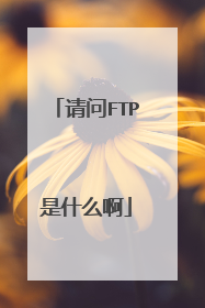 请问FTP是什么啊