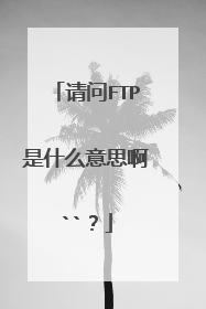请问FTP是什么意思啊``?