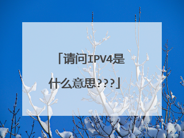 请问IPV4是什么意思???