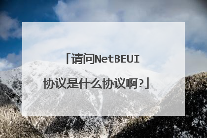 请问NetBEUI协议是什么协议啊?