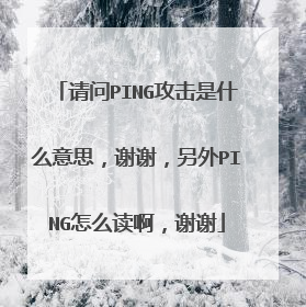 请问PING攻击是什么意思,谢谢,另外PING怎么读啊,谢谢