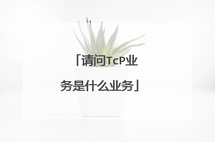 请问TcP业务是什么业务