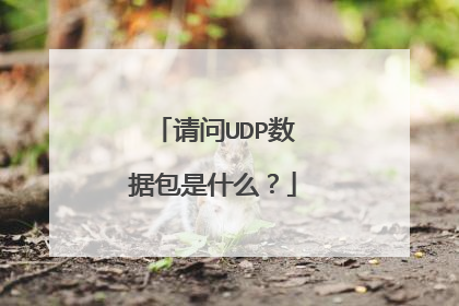 请问UDP数据包是什么？
