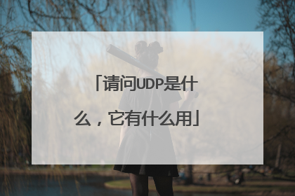 请问UDP是什么,它有什么用
