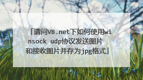 请问VB.net下如何使用winsock udp协议发送图片 和接收图片并存为jpg格式
