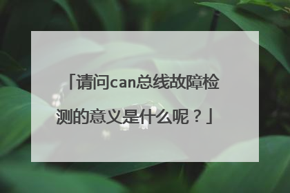 请问can总线故障检测的意义是什么呢？