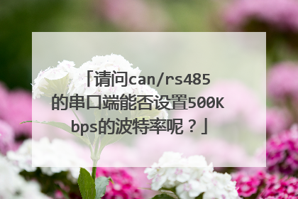 请问can/rs485的串口端能否设置500Kbps的波特率呢？
