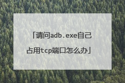 请问adb.exe自己占用tcp端口怎么办