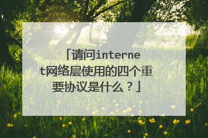 请问internet网络层使用的四个重要协议是什么?