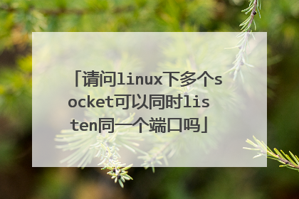 请问linux下多个socket可以同时listen同一个端口吗