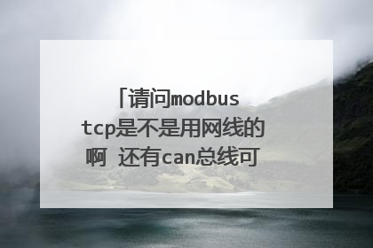 请问modbus tcp是不是用网线的啊 还有can总线可不可以用网线 我看plc上就2个口一个