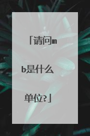 请问mb是什么单位?