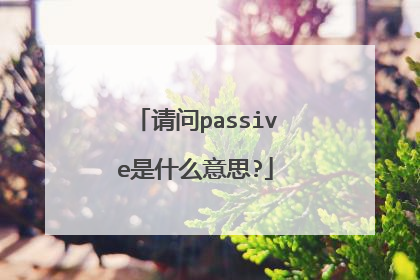 请问passive是什么意思?