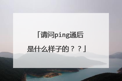 请问ping通后是什么样子的？？